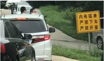 八达岭动物园儿童探身出车你该不该对自己负责?