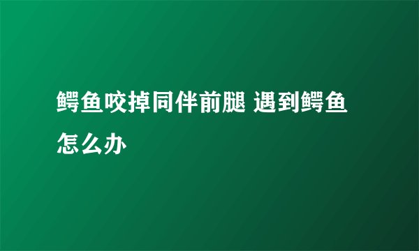 鳄鱼咬掉同伴前腿 遇到鳄鱼怎么办