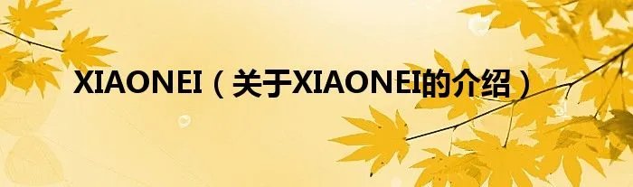 XIAONEI（关于XIAONEI的介绍）
