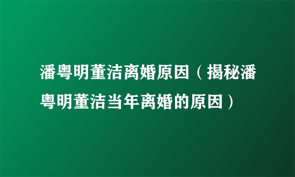 潘粤明董洁离婚原因（揭秘潘粤明董洁当年离婚的原因）