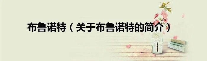 布鲁诺特（关于布鲁诺特的简介）