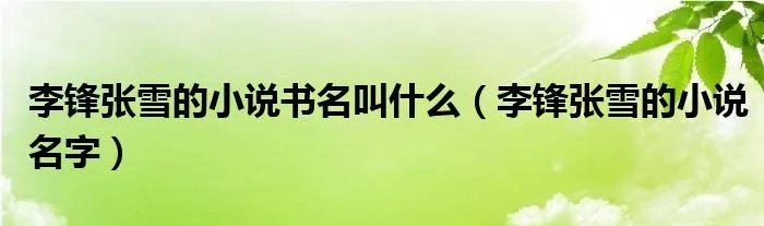 李锋张雪的小说书名叫什么（李锋张雪的小说名字）