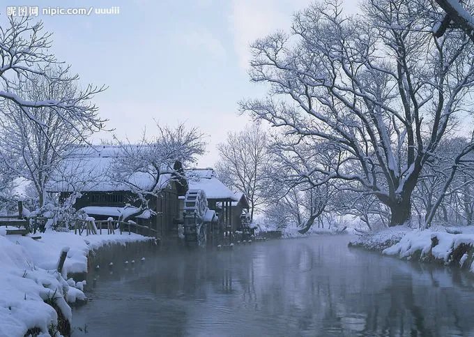 南方的猪第一次见雪兴奋不已，南方人第一次看雪都是啥样？