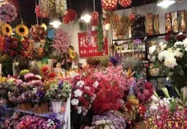 长春有哪些花鸟鱼市场?