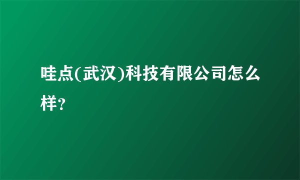 哇点(武汉)科技有限公司怎么样？