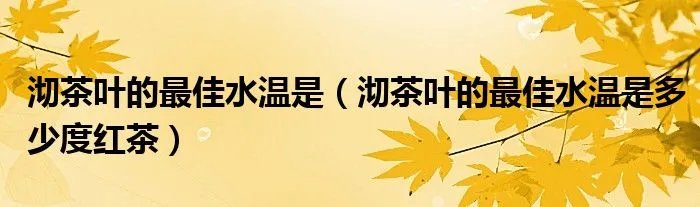 沏茶叶的最佳水温是（沏茶叶的最佳水温是多少度红茶）