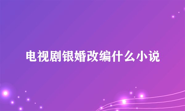 电视剧银婚改编什么小说