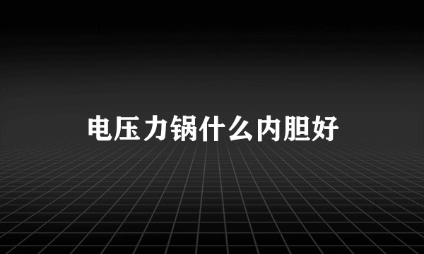 电压力锅什么内胆好