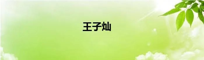 王子灿