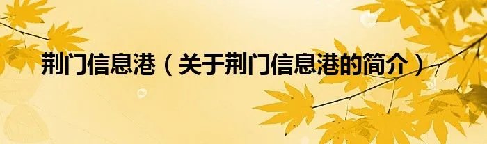 荆门信息港（关于荆门信息港的简介）