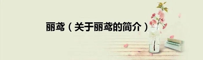 丽鸢（关于丽鸢的简介）