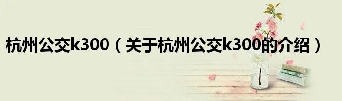 杭州公交k300（关于杭州公交k300的介绍）
