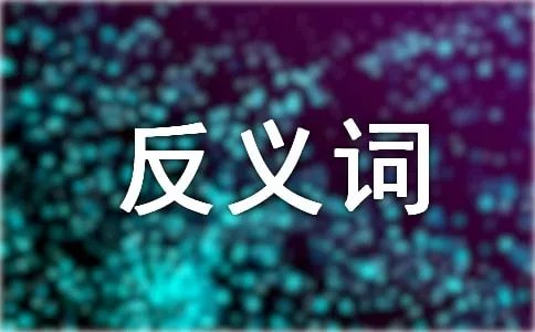 乏味的反义词是什么