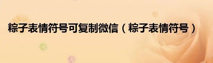 粽子表情符号可复制微信（粽子表情符号）