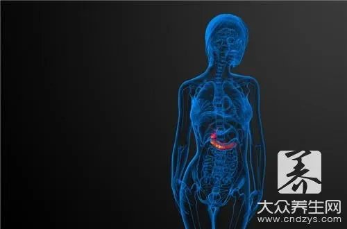 南瓜藤能治胆结石吗?