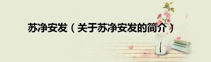 苏净安发（关于苏净安发的简介）