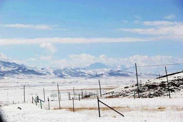 青海祁连山突降大雪,对当地游客有何影响?