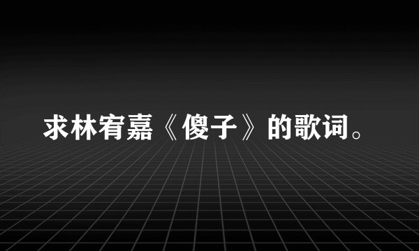 求林宥嘉《傻子》的歌词。