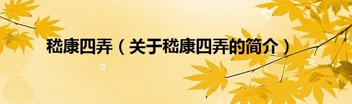 嵇康四弄（关于嵇康四弄的简介）