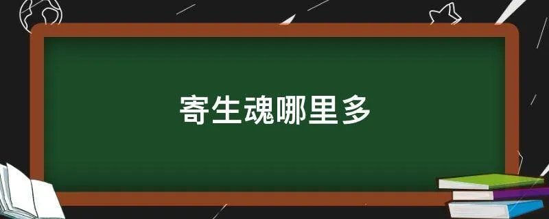 寄生魂哪里多