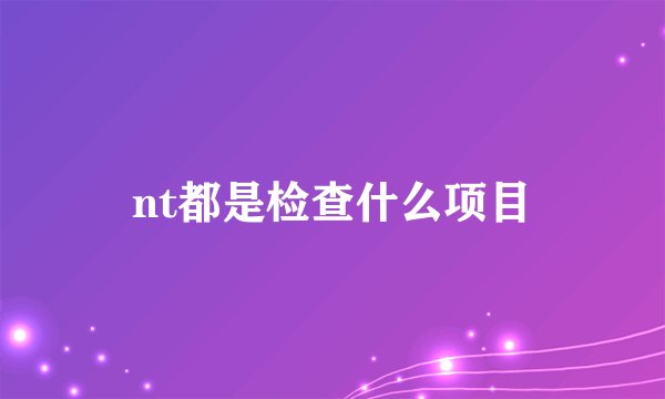 nt都是检查什么项目