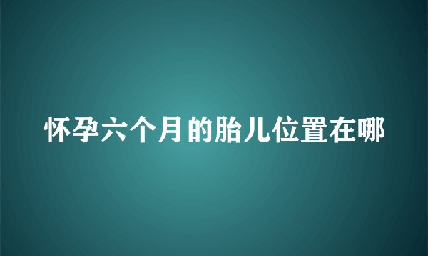 怀孕六个月的胎儿位置在哪