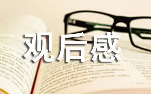 中伊之战观后感