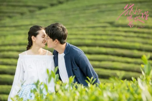 如何评价《我只喜欢你》?