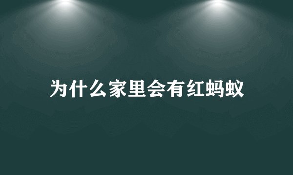 为什么家里会有红蚂蚁