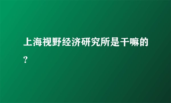 上海视野经济研究所是干嘛的？