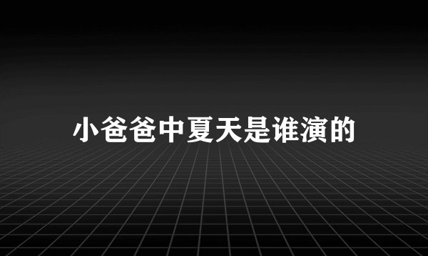 小爸爸中夏天是谁演的
