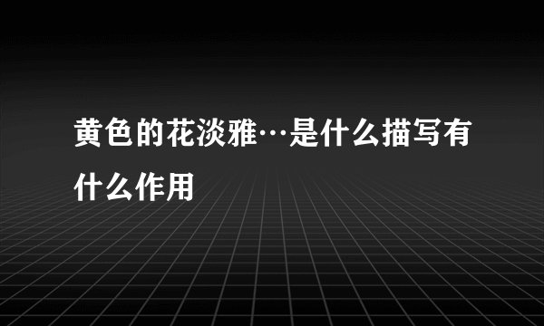 黄色的花淡雅…是什么描写有什么作用
