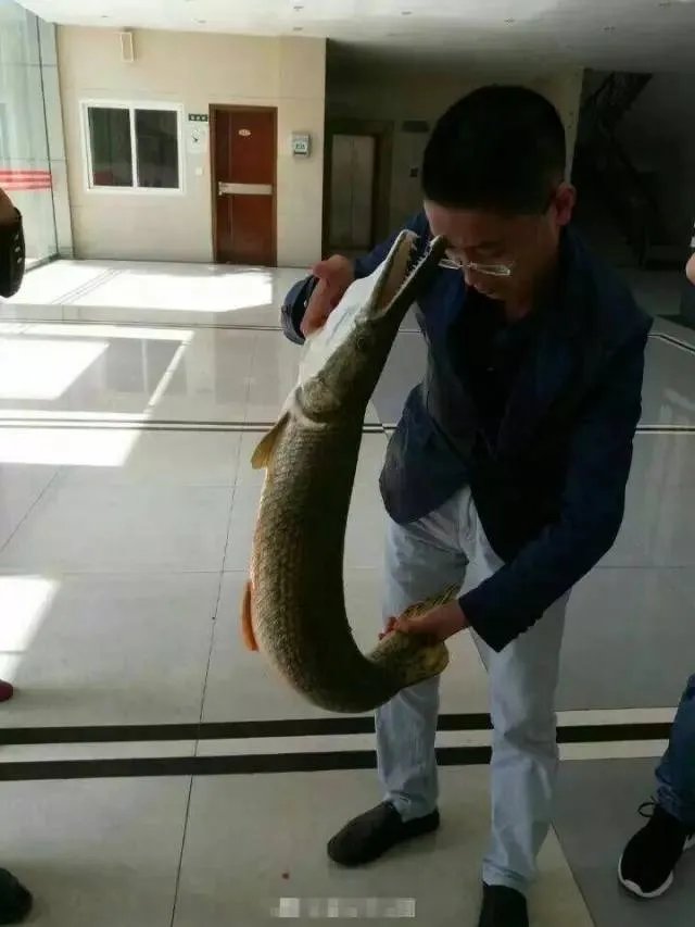 网曝高校钓起怪鱼 十种最恶心怪鱼排行榜