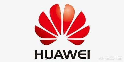 华为将从全世界招天才少年，请问“天才”的标准是什么？