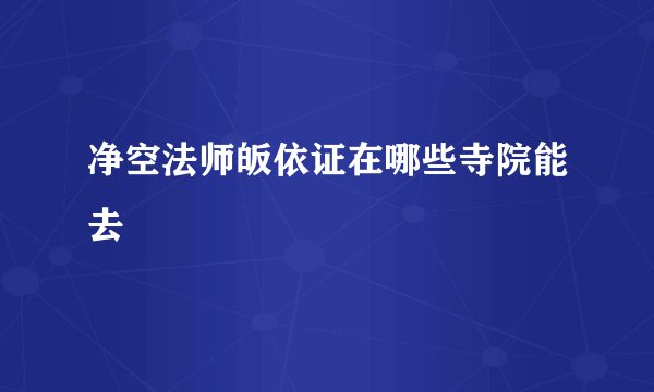 净空法师皈依证在哪些寺院能去
