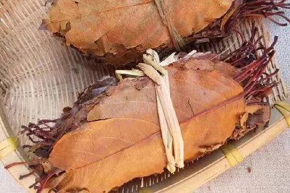 山楂叶图片