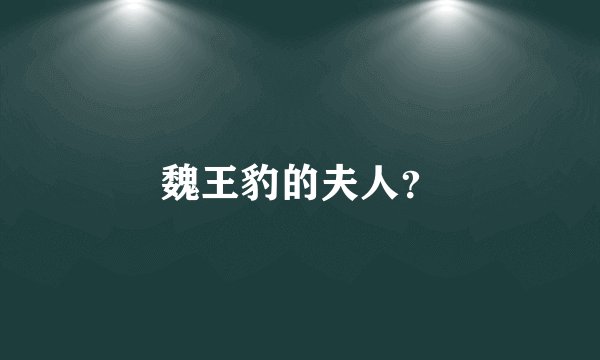 魏王豹的夫人？