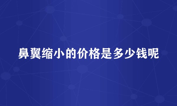 鼻翼缩小的价格是多少钱呢