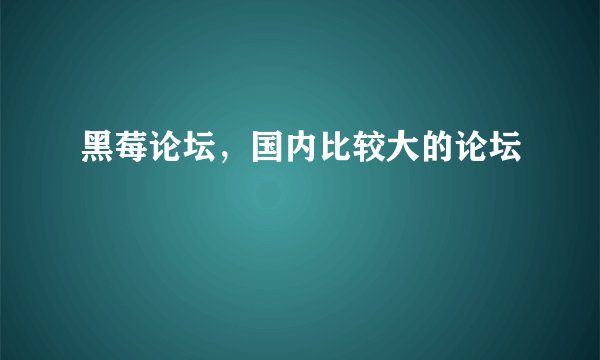 黑莓论坛，国内比较大的论坛