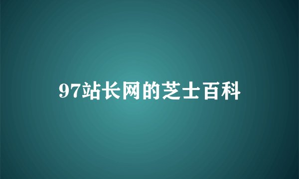 97站长网的芝士百科