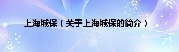 上海城保（关于上海城保的简介）