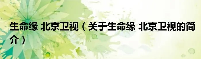 生命缘 北京卫视（关于生命缘 北京卫视的简介）
