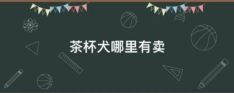 茶杯犬哪里有卖