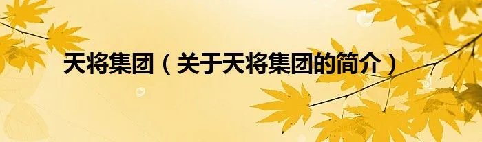 天将集团（关于天将集团的简介）