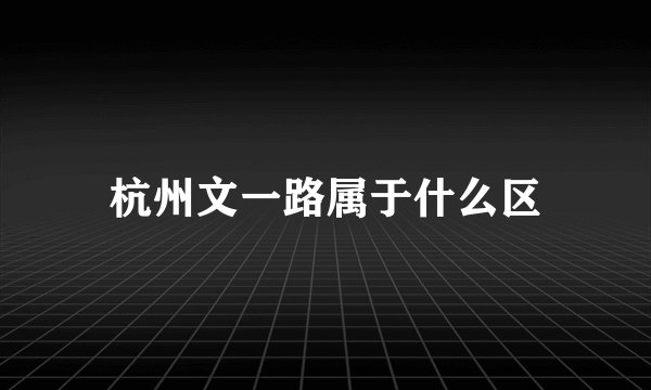 杭州文一路属于什么区