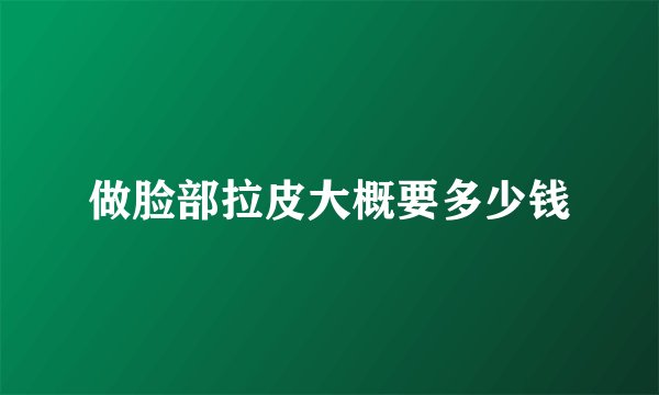 做脸部拉皮大概要多少钱