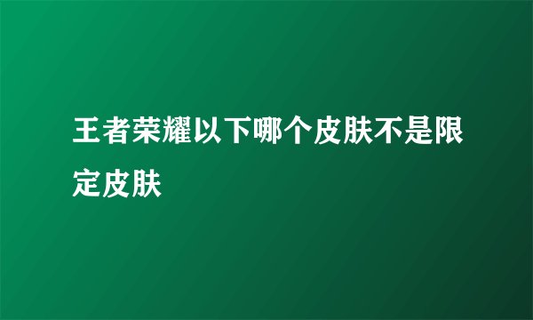 王者荣耀以下哪个皮肤不是限定皮肤