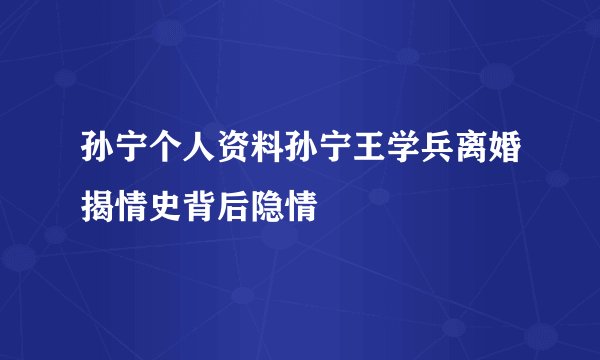 孙宁个人资料孙宁王学兵离婚揭情史背后隐情