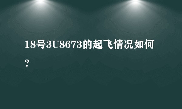 18号3U8673的起飞情况如何？