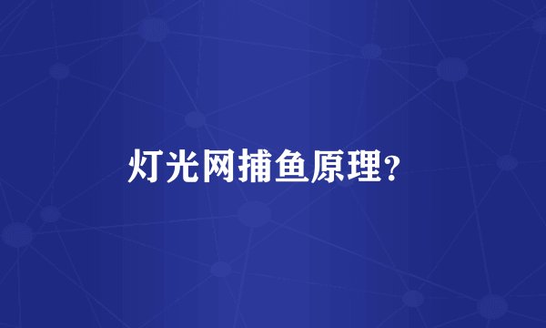灯光网捕鱼原理？